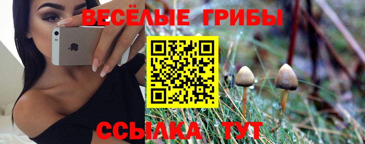 Галлюциногенные грибы мухоморы  Псилоцибиновые грибы прущие грибы  Вход с VPN  Шарыпово 
